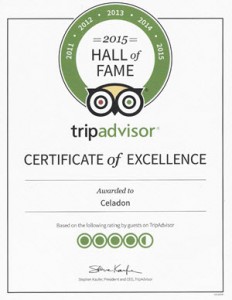 Trip Advisor 2015