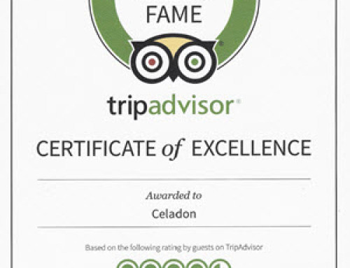 Press and Accolades